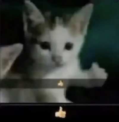 👍🏻