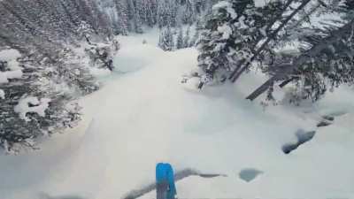 Reality check: trees don't care about your miscalculations.