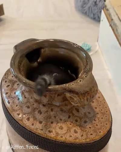 Black magic!