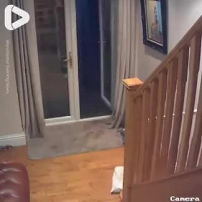 That was clearly the wrong guy to mess with