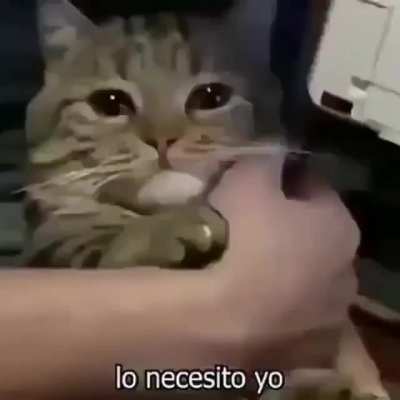 Eu j&aacute; superei ela 😔👍