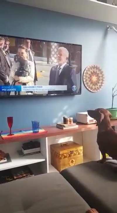 representatividade importa 🐕