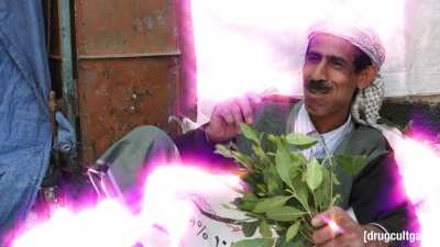 taliban bin laden weed