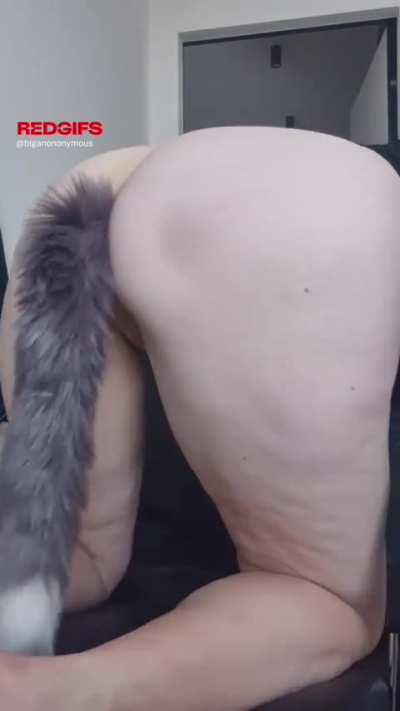 How do you like my tail?