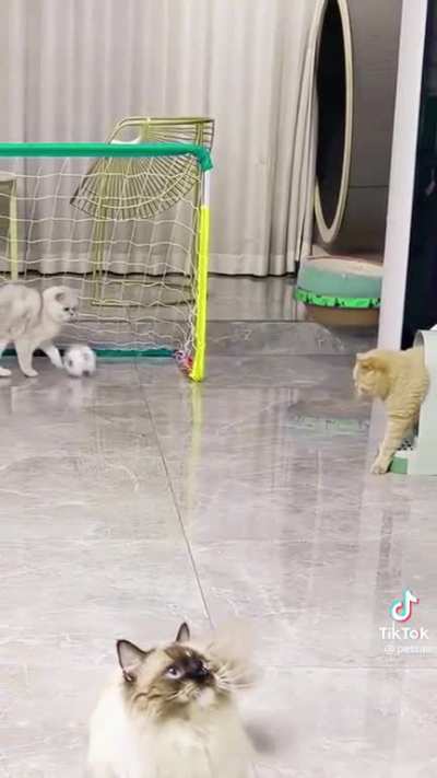 Tap and Goal saved