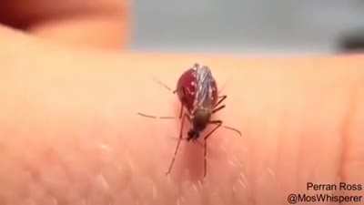 Umarım onca seneden sonra bazı açgözlü orospu çocuklarının da sonu böyle olur