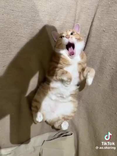 Eepy D&ograve;u D&ograve;u posting!!!