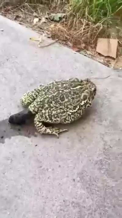 Maybe Maybe Maybe