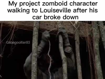 Los pibes en el Proyecto Zomboid cuando: