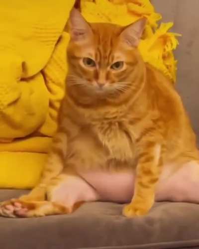 when you woke up first after the party and you realize that something is wrong