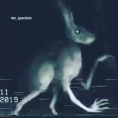 Cursed_Dreams