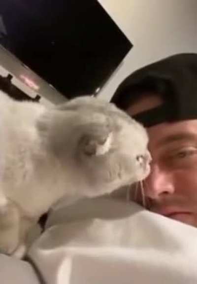 Cat is like &ldquo;No! Not again!&rdquo;
