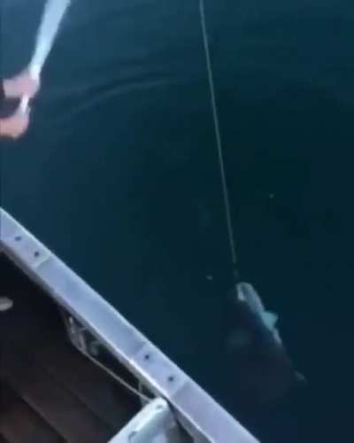 Perfectly cut shot