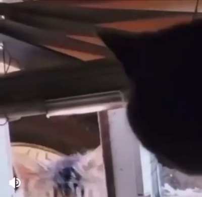 What&rsquo;s up bro? Why you at the house?