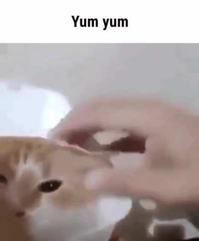 Yum Yum