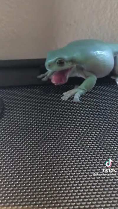 Accidentally tasting a worm