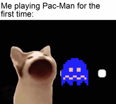 wakka wakka wakka wakka