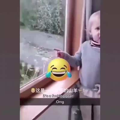It’s a fu*king goat!