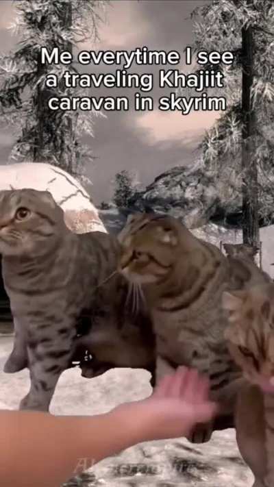 Khajit has wares