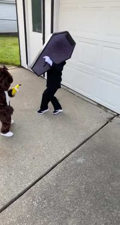 My son wanted to be the &ldquo;Coffin Dance Guys&rdquo; for his Halloween costume