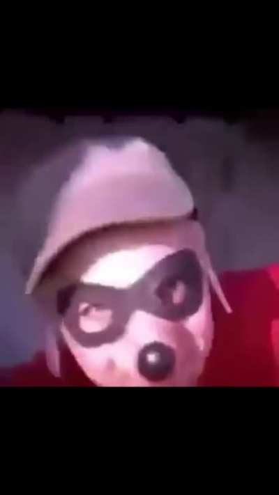 Cursed_ducktales