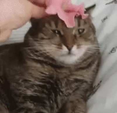 Do not want