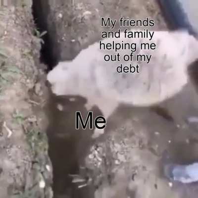 worth it