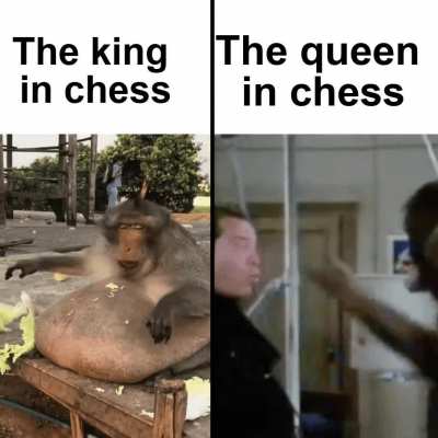 The king just doesn&rsquo;t care