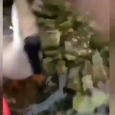 amınakodumun &ouml;rdeği ne var