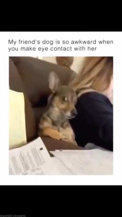 2meirl4meirl