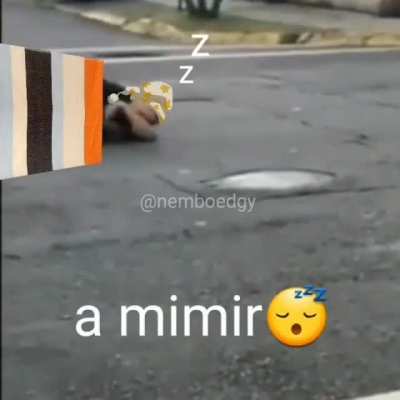 a mimirr zzzz