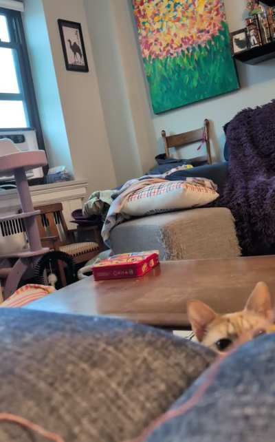 Working yarn is too suspicious and must be confiscated