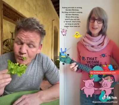 Gordon Ramsay responds to a vegan song