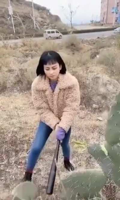 'I'm so bad, I'm gonna damage a plant for absolutely no reason'