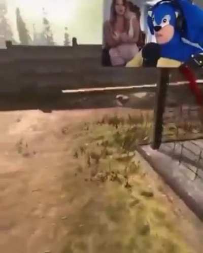 Sonic