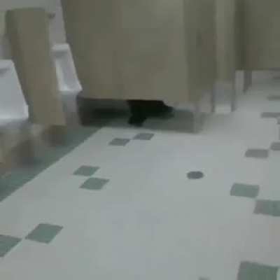 Dont go into Ikea Toilet