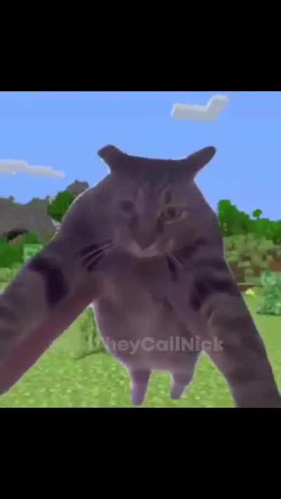 Weeee