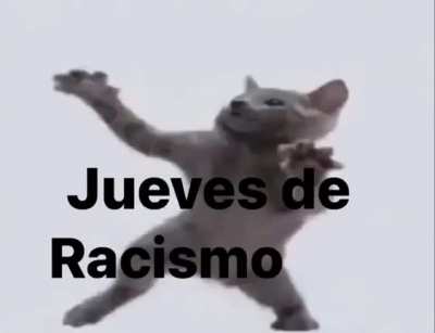CatDance