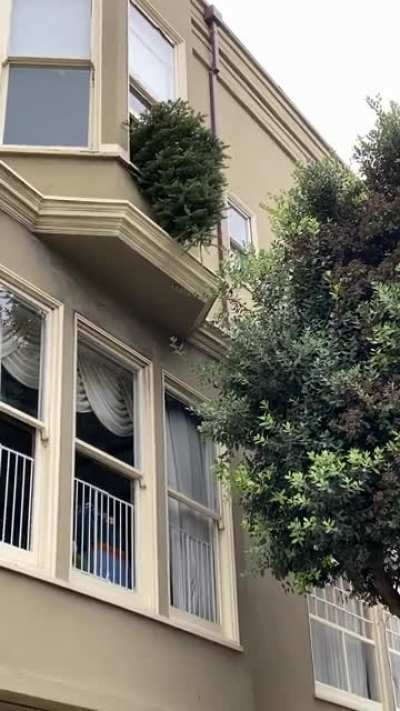 So I threw my Christmas tree out the second story window ...
