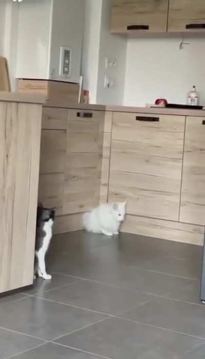 Sneak level 100