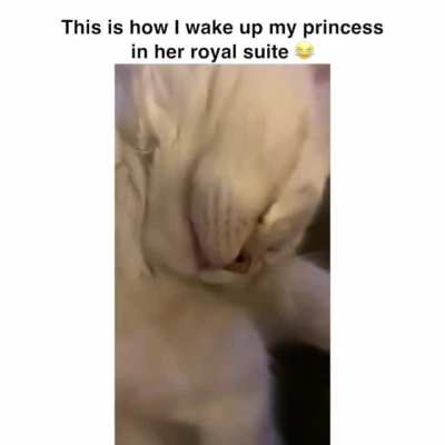 Hi...