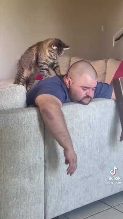 I&rsquo;m a dog person&hellip;but this? Think I want a cat now