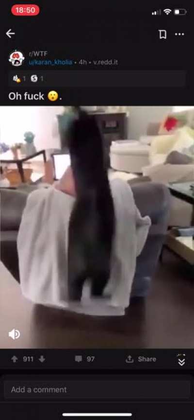 Thought this fit here more than WTF.
