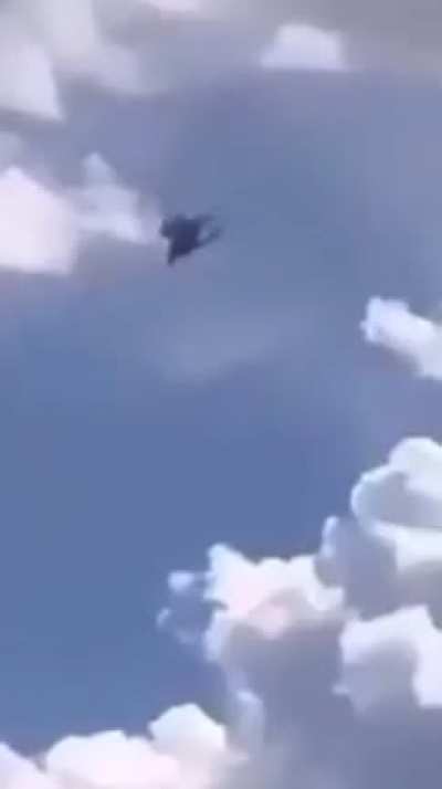 ;