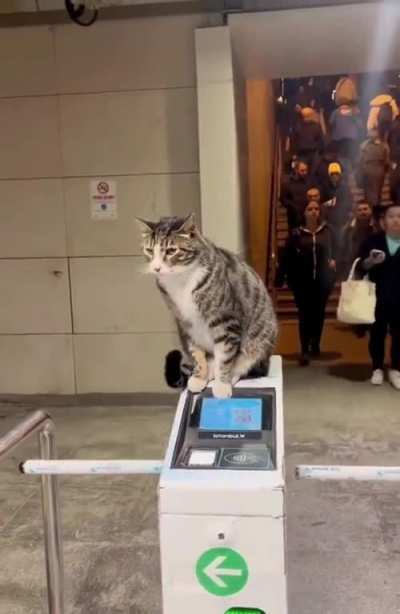 Security