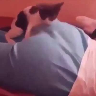 Кусь!