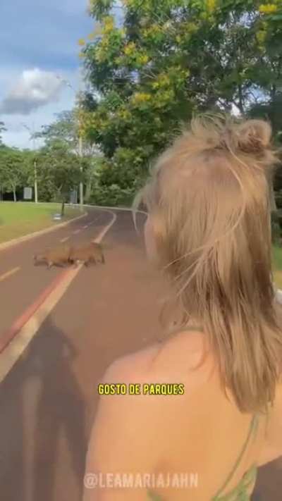 Me intriga o amor que estrangeiros sentem pelo pa&iacute;s; o brasileiro quando vive fora n&atilde;o parece demonstrar o mesmo.