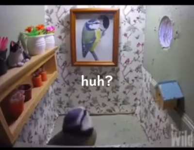 Huh ?