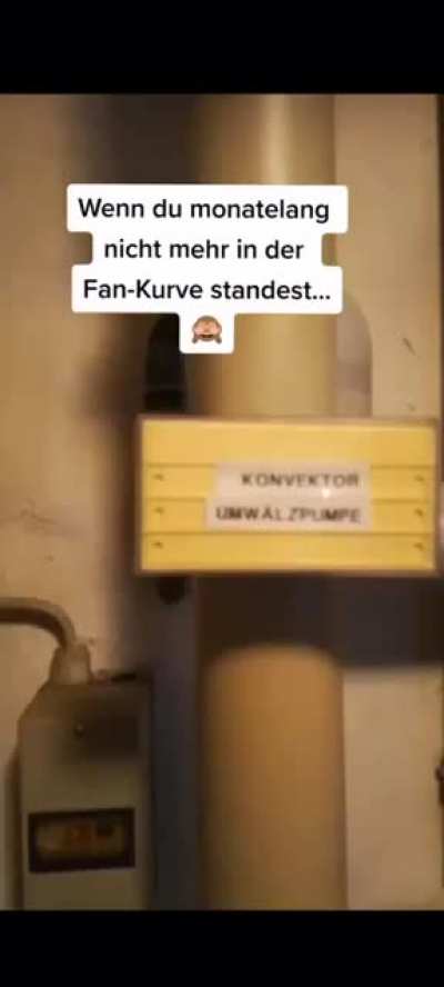 ich_iel