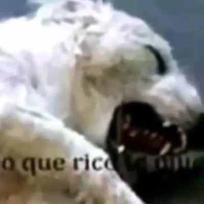 buenosdias